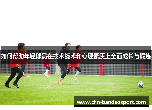 如何帮助年轻球员在技术战术和心理素质上全面成长与锻炼