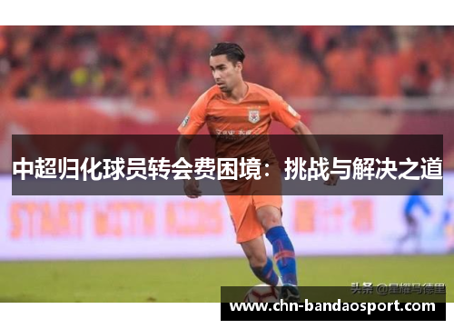 中超归化球员转会费困境：挑战与解决之道
