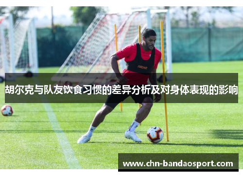 胡尔克与队友饮食习惯的差异分析及对身体表现的影响