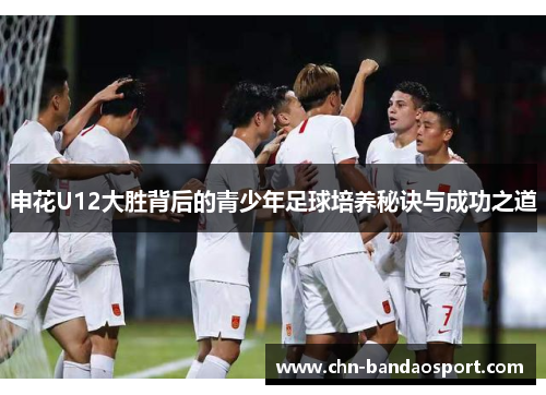 申花U12大胜背后的青少年足球培养秘诀与成功之道