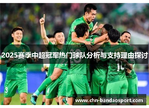 2025赛季中超冠军热门球队分析与支持理由探讨