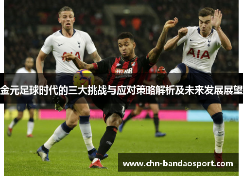 金元足球时代的三大挑战与应对策略解析及未来发展展望