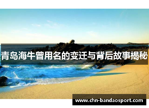 青岛海牛曾用名的变迁与背后故事揭秘