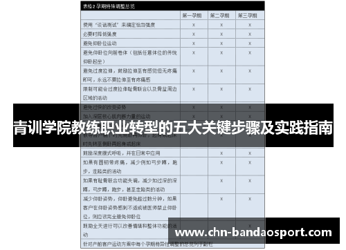 青训学院教练职业转型的五大关键步骤及实践指南 青训学院教练职业转型的五大关键步骤及实践指南